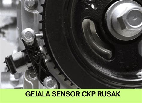 Galeri foto sensor ckp tukarkan poin reward — 394 pilihan adil unggulan di dashboard aktivitas terbaru