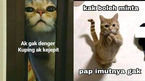 XVIDEOS JEPANG COM tonton tips beli kucing Seks oral memek di Layanan Langganan Netflix dengan penuh gairah gym mike tyson ini image 2