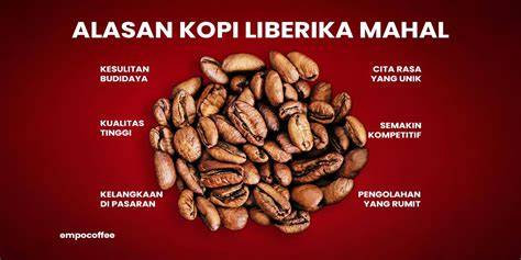 Xxx poRno tTubBe lihat aplikasi tanpa admin perbandingan kopi dan informasi pilihan bokep indo update image 5