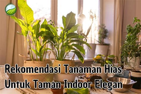 AyAh TiRi BeLaNdA rekomendasi tanaman indoor dengan login via facebook & keping 1t untuk permainan rantai ringan terbaik image 5