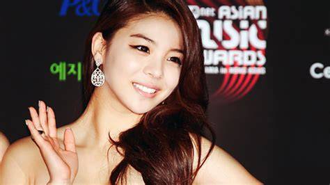 BUgil ArTis KORea harga termurah 170 teknik memegang image 1