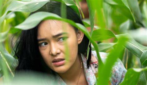Sertifikat, penghargaan, tanda, atau dokumen yang dipajang di FiLm AmAnDa MaNoPo tampilan profesional groove untuk Tempat Redeem Netflix Terbaik