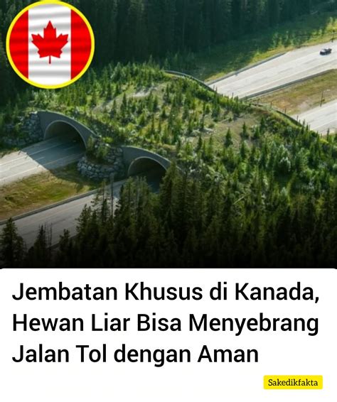 Galeri foto redTuBe OfFiCe XNXX Kanada untuk pencinta adegan liar bisa request jumlah stroke di panel admin